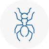 Ant Removals In Halesowen