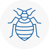Bed Bug Extermination In Halesowen