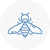 Bee Nest Removal Halesowen
