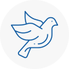 Bird Prevention Halesowen