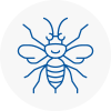 Halesowen Hornet Nest Removals