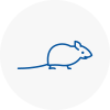 Mice Exterminators In Halesowen