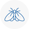 Moth Control Specialists In Halesowen