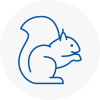 Halesowen Rodent Removals